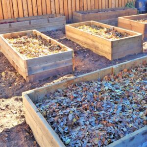 Calgary landscape design and seasonal maintenance coaching services