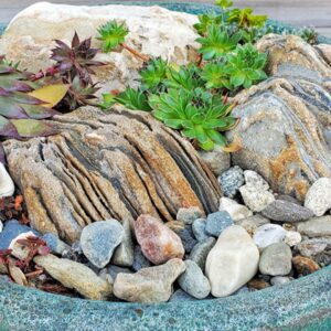 Succulent Planters in between the stone