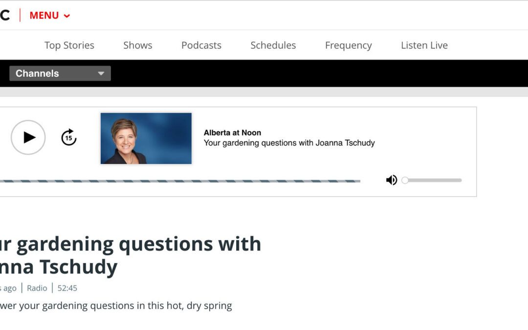 AB-at-Noon-with-Inhabit-Landscape-Calgary-AB