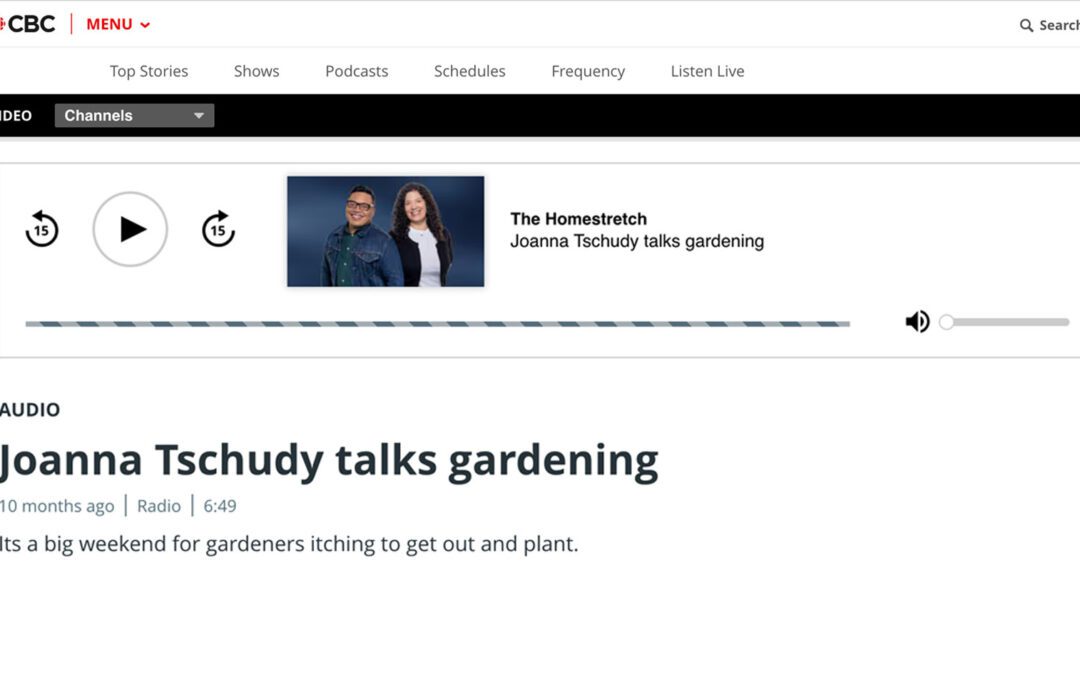 CBC-Homestretch-featuring-Joanna-Tschudy