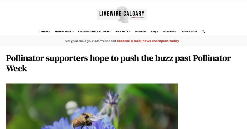 Livewire article on pollinators